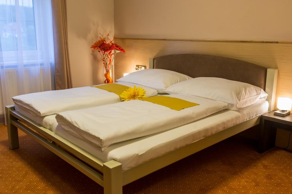 Hotel Luznice Planá nad Lužnicí Chambre photo